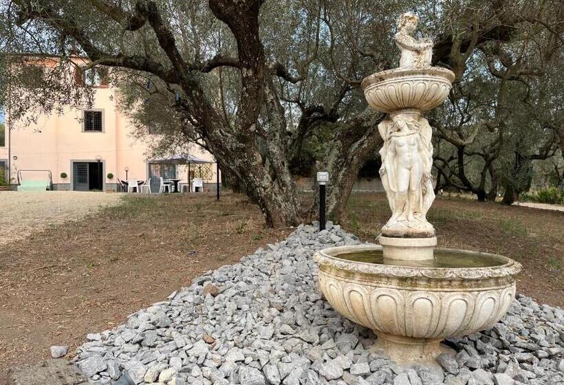 هتل Agriturismo Domus Tuscia