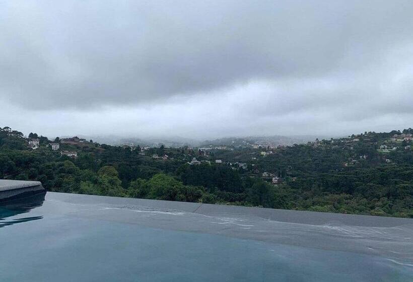 Отель Carpe Diem Boutique & Spa