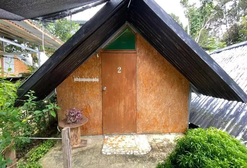 Majatalo Da Family Mini Garden