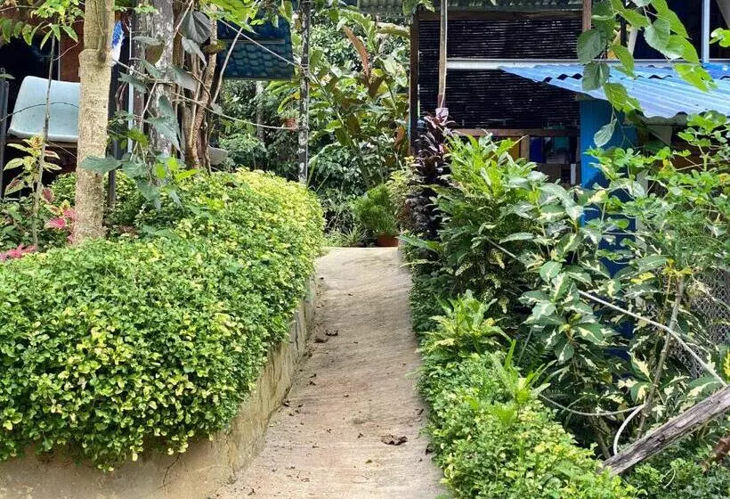 Majatalo Da Family Mini Garden