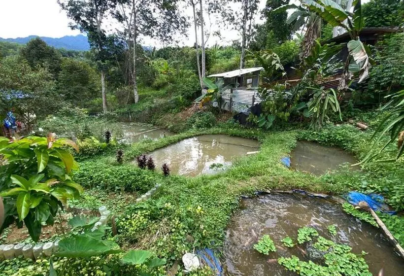 Majatalo Da Family Mini Garden