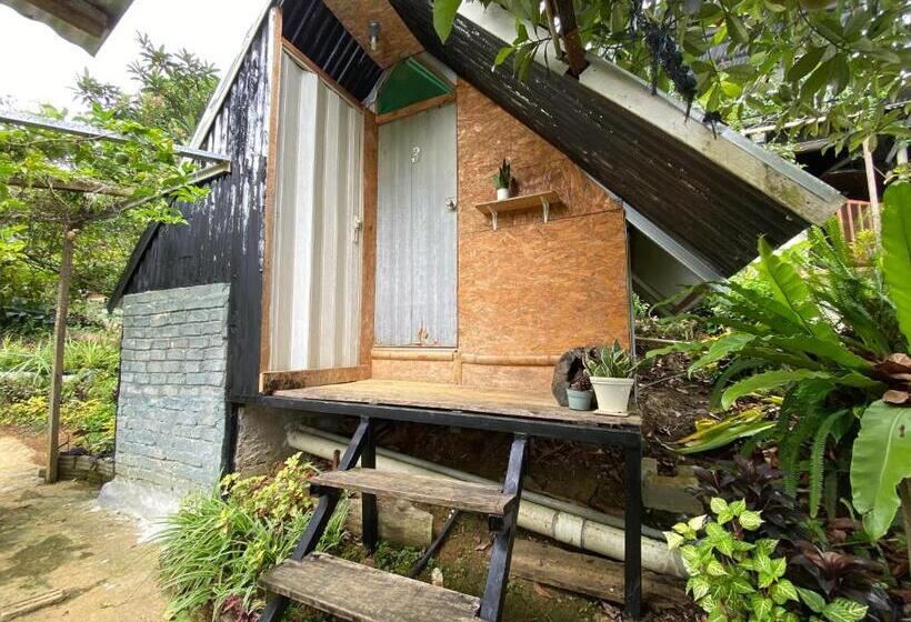 פנסיון Da Family Mini Garden