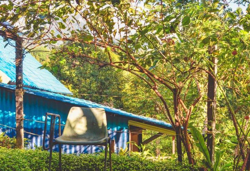 פנסיון Da Family Mini Garden