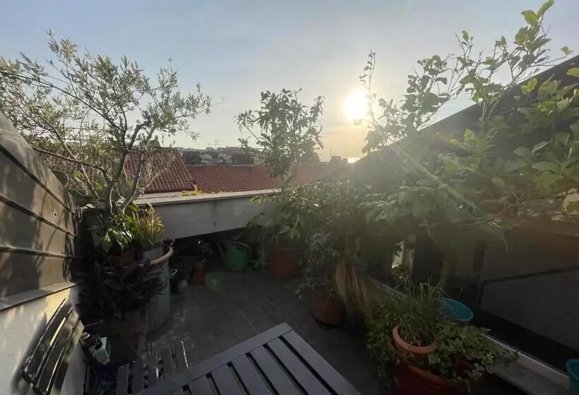 تختخواب و صبحانه Piccola Accogliente E Luminosa Camera In Appartamento Con Terrazza Vista Mare