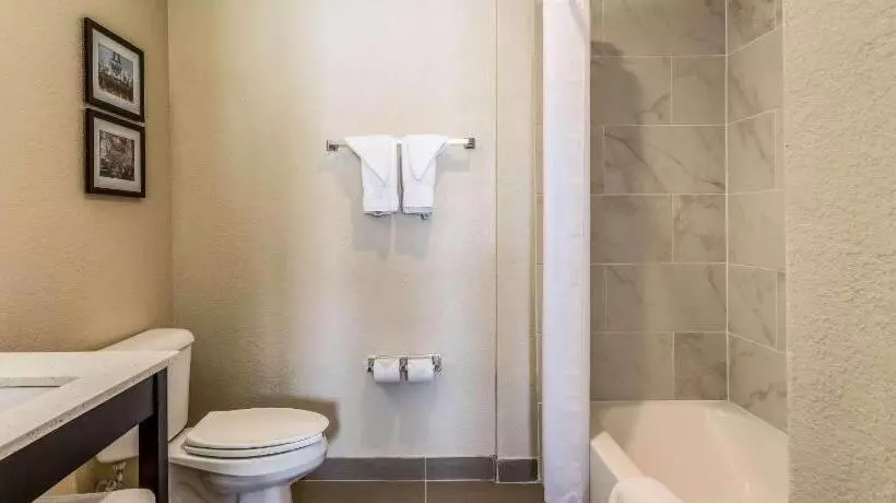 Hotelli Comfort Inn Downtown