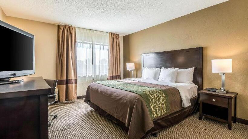 ホテル Comfort Inn Downtown