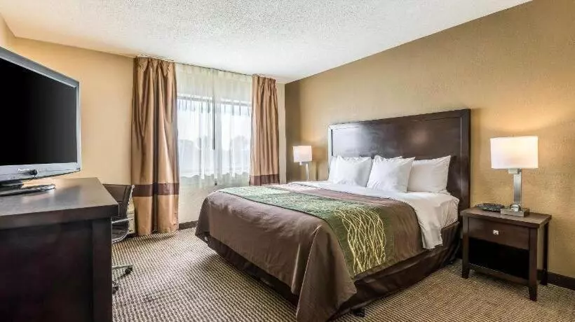 Hotelli Comfort Inn Downtown