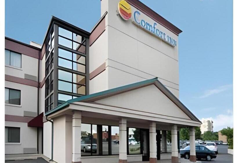 ホテル Comfort Inn Downtown