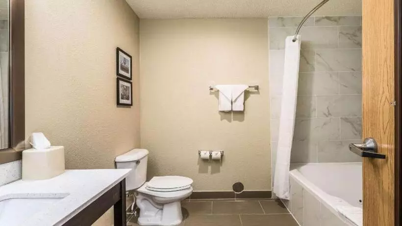 Hotelli Comfort Inn Downtown