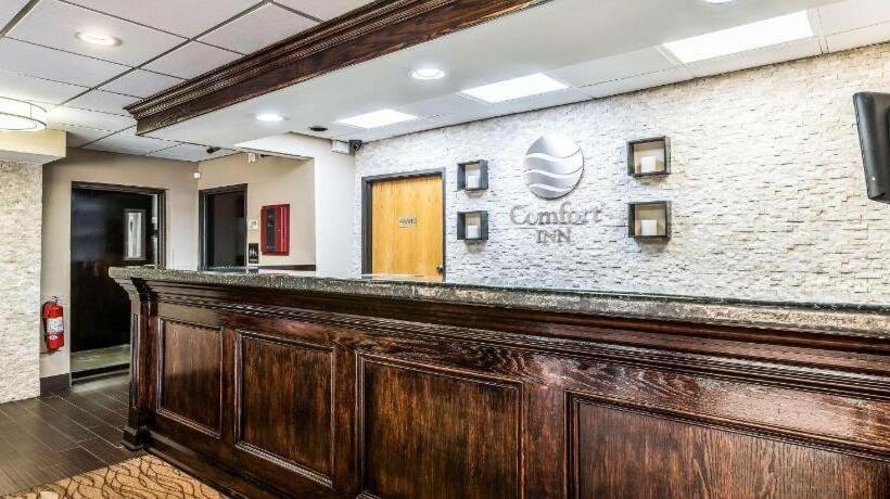 ホテル Comfort Inn Downtown