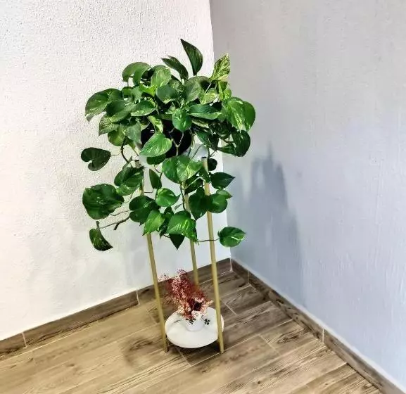 ベッドアンドブレックファースト Casa Noriux En Gdl