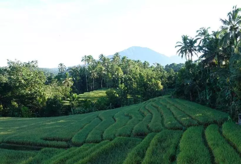 Hotelli Gubug Art 1 Villa Bali