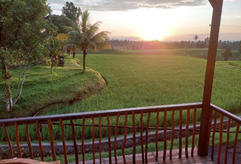 酒店 Gubug Art 1 Villa Bali