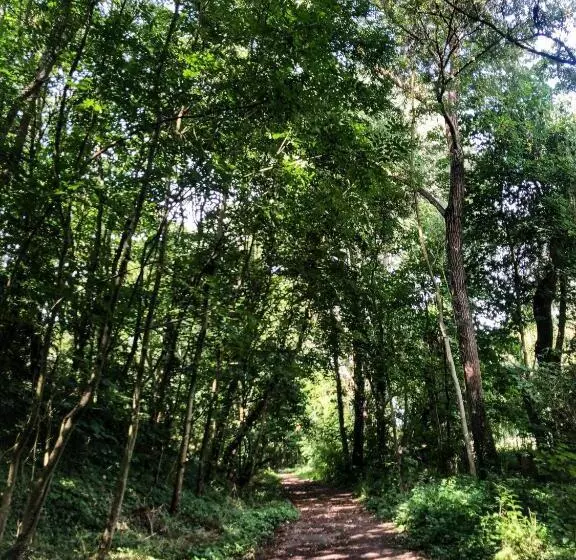 ペンション Maison D Hôtes Et Bien être Ahimsa