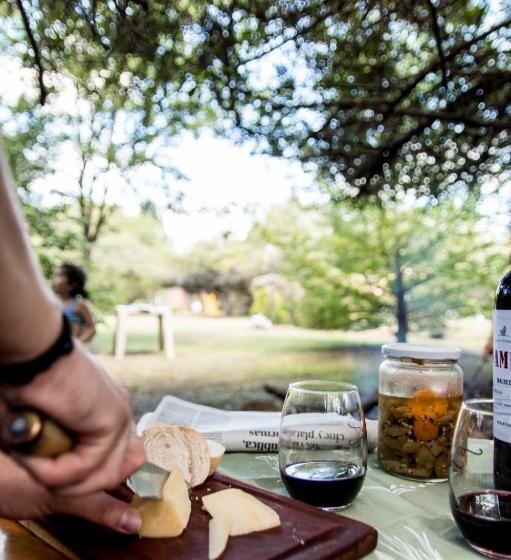 호스텔 La Paloma Posada