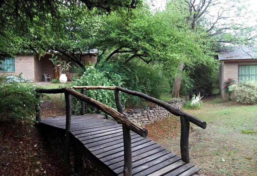 호스텔 La Paloma Posada