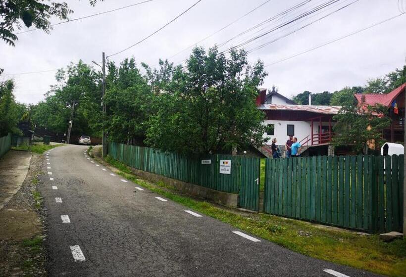 بنسيون Casa Bordei