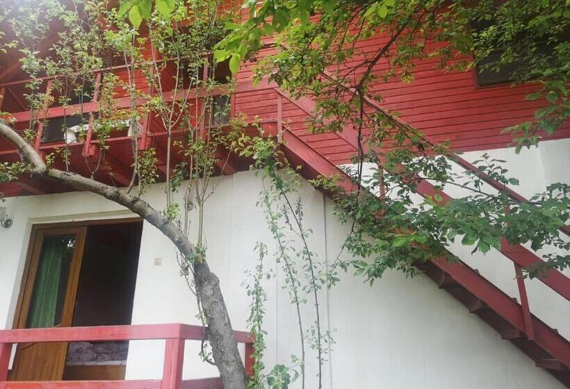 بنسيون Casa Bordei