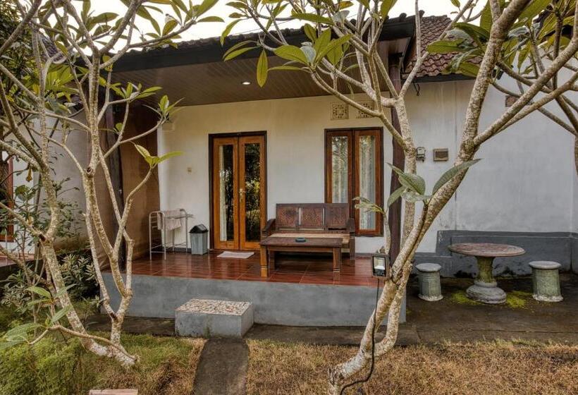 ペンション The Banana House