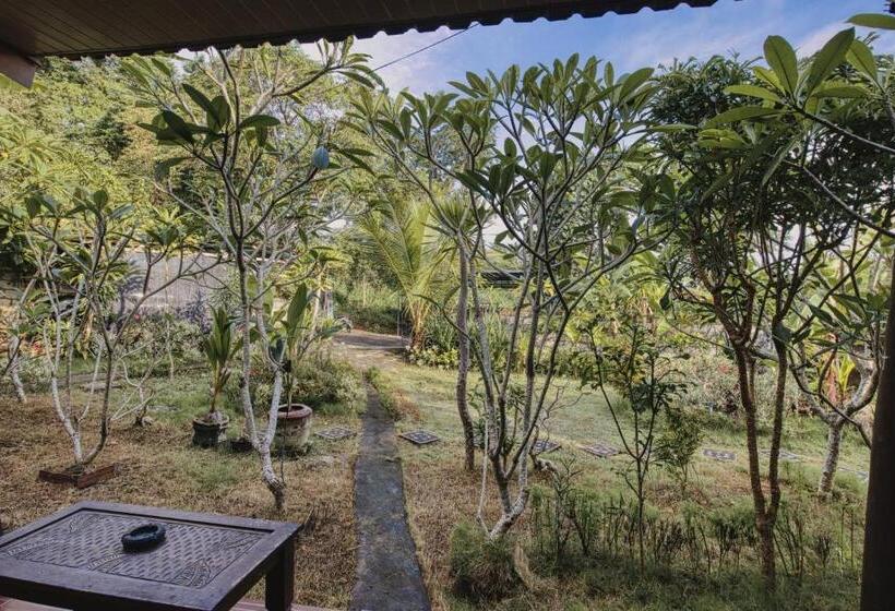 ペンション The Banana House