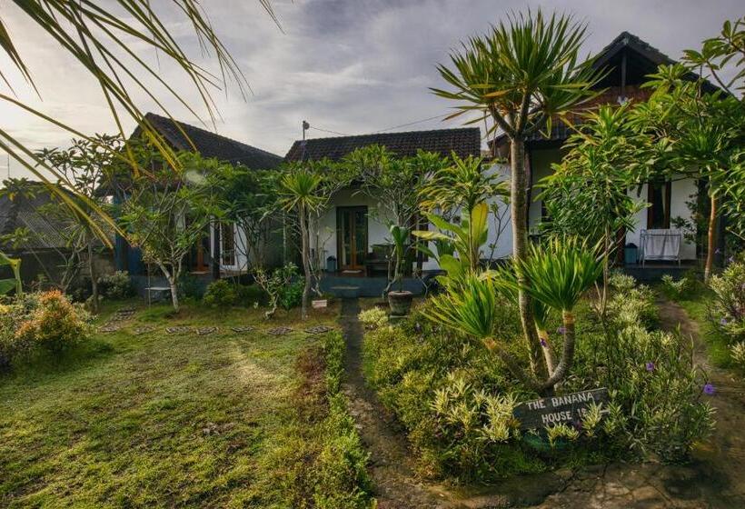 ペンション The Banana House