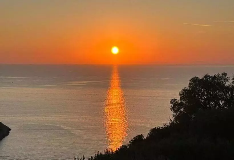 ペンション Villa Velta Sea Sunset