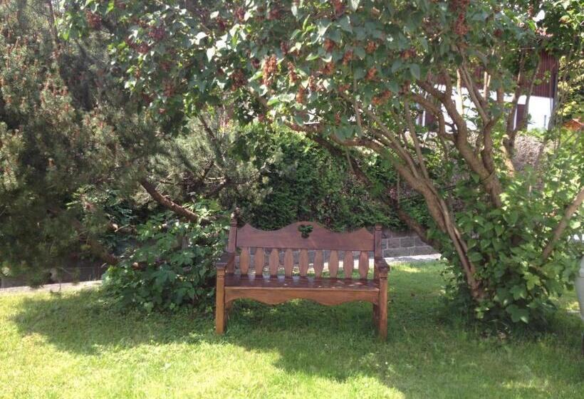 Общежитие Dreimäderlhaus Rieden