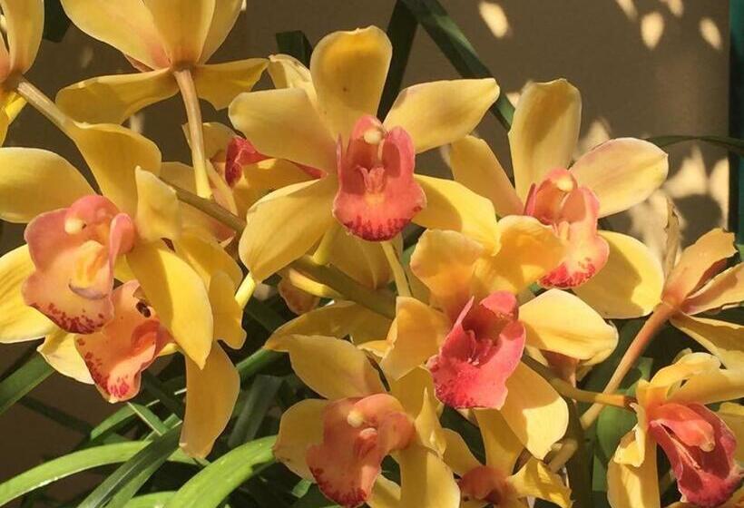 پانسیون A Crèuza