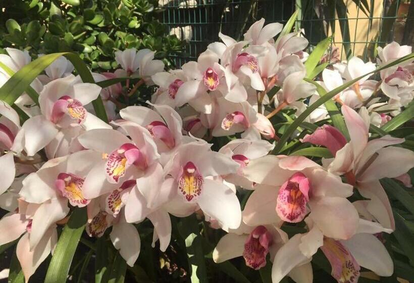 پانسیون A Crèuza