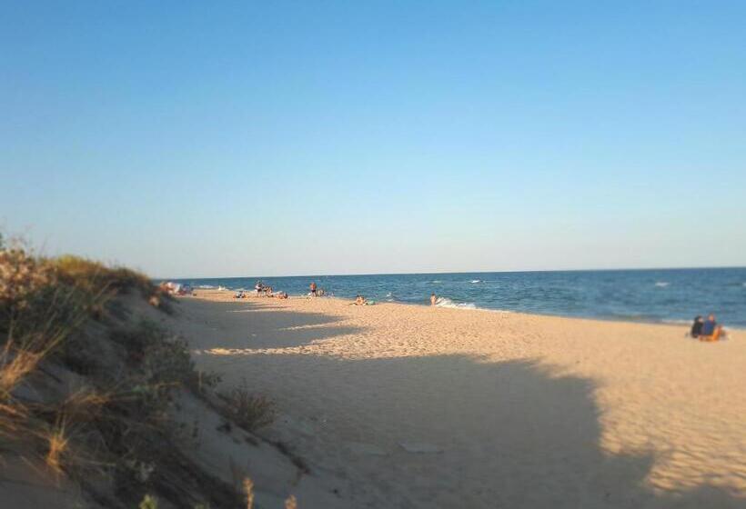 ペンション Guest House Barkhat