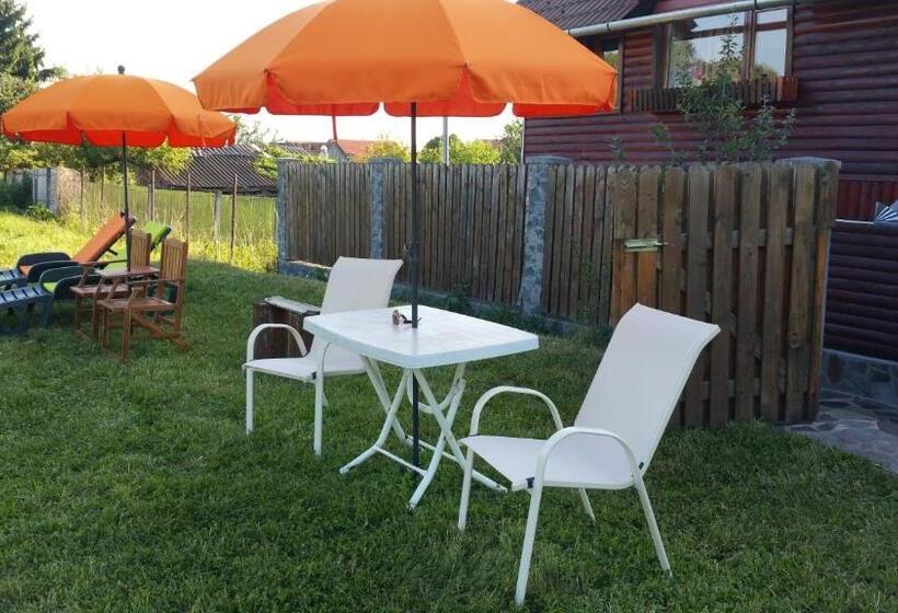 펜션 Residence Homorod