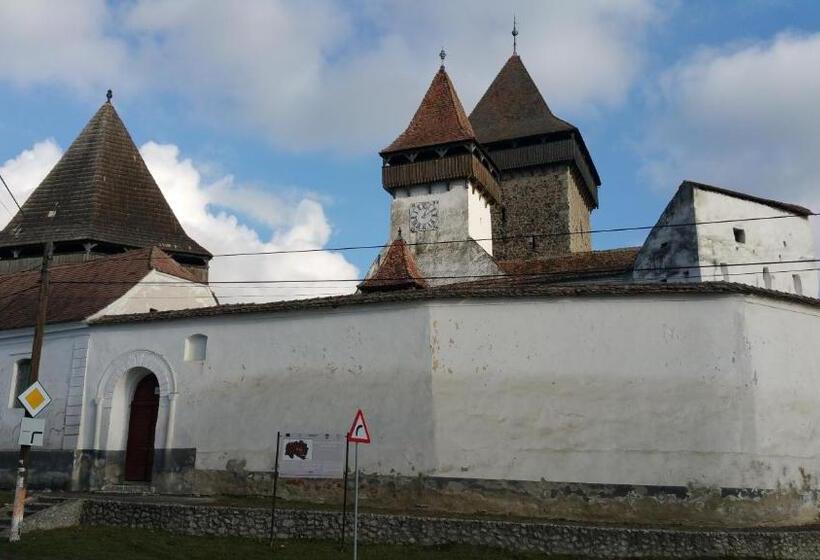 펜션 Residence Homorod