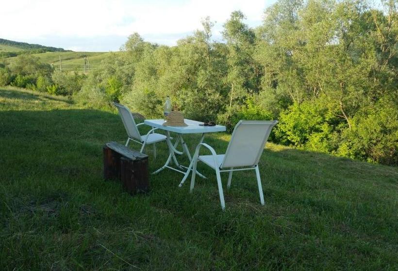 펜션 Residence Homorod