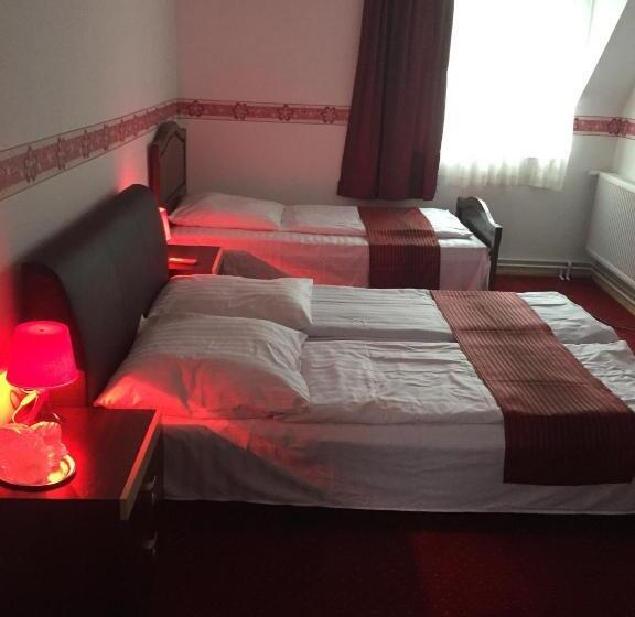 Pensiunea Anca Sibiel