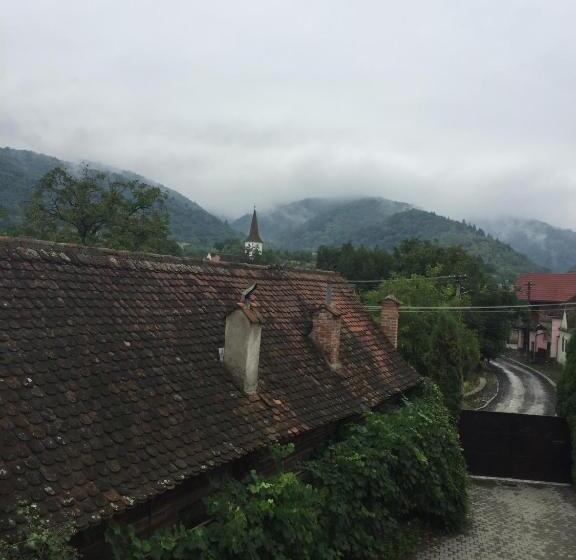 Pensiunea Anca Sibiel