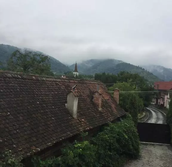 Pensiunea Anca Sibiel