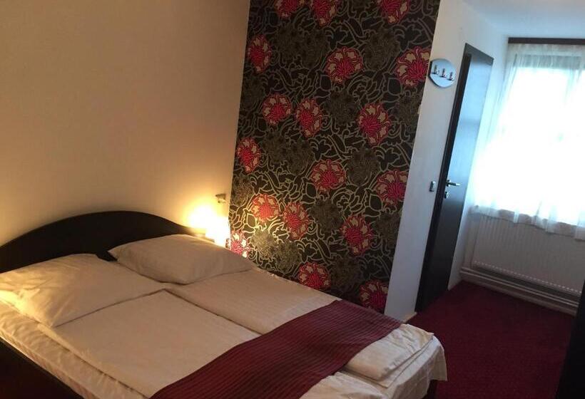 Pensiunea Anca Sibiel