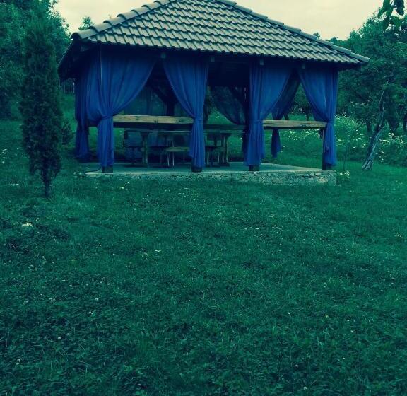 Pensiunea Anca Sibiel