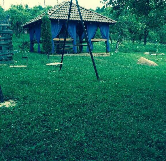 Pensiunea Anca Sibiel