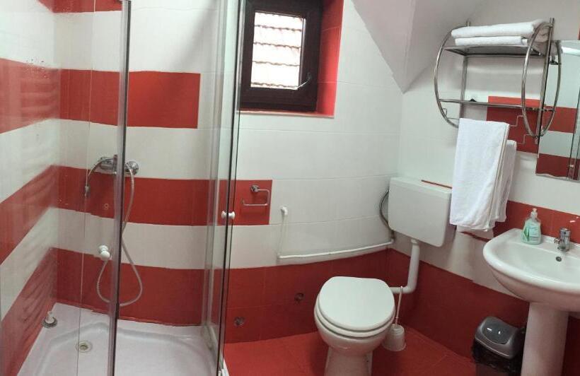 Pensiunea Anca Sibiel