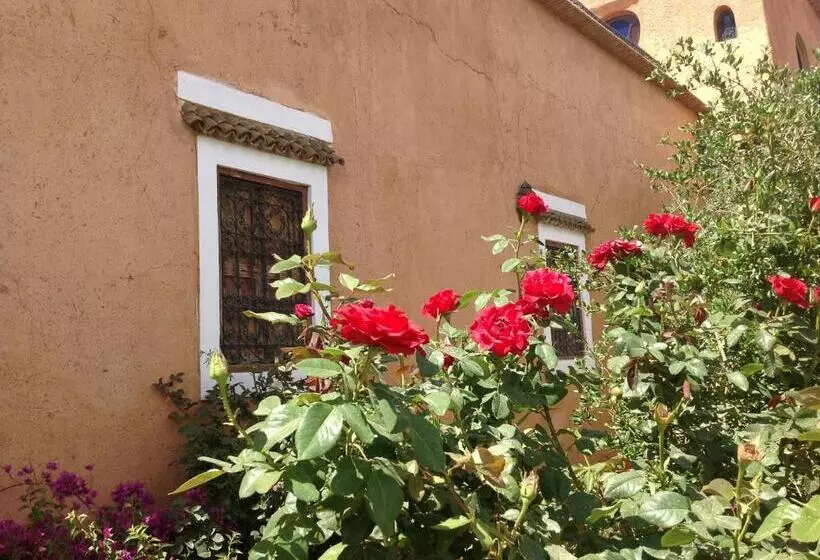 Riad Timadrouine