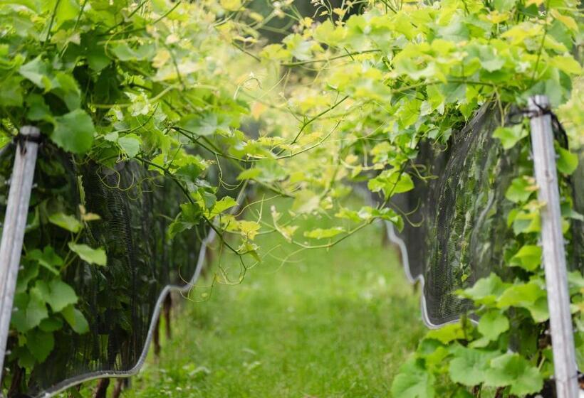 ホテル Schloss Rattey   Haus Weinwerk