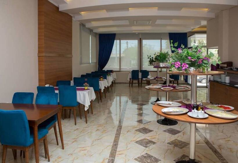 בית מלון כפרי Akcali