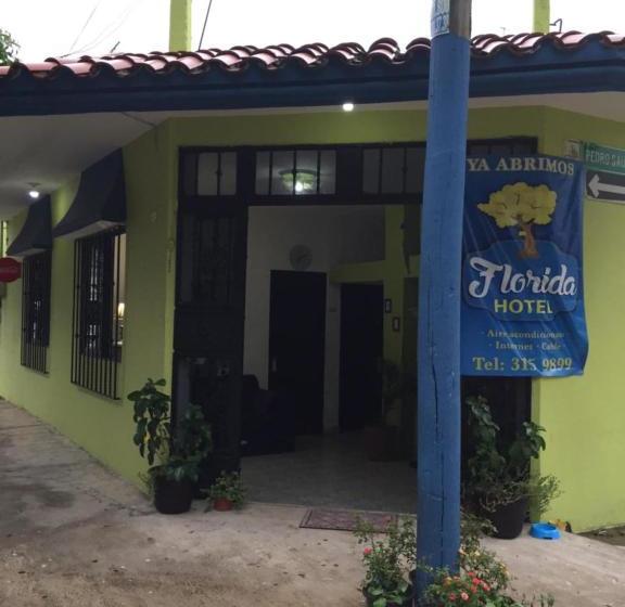 בית מלון כפרי Florida