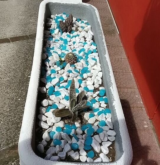 בית מלון כפרי Magnolia