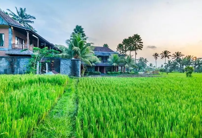 ベッドアンドブレックファースト Chandana Ubud Villa