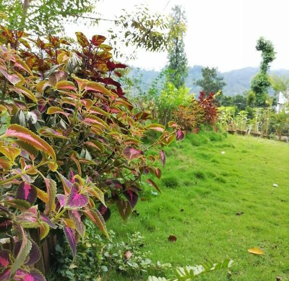 Pensão Sheli S Nest   Ella