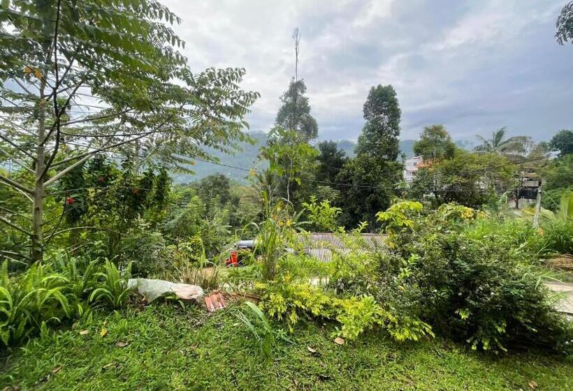 Pensão Sheli S Nest   Ella