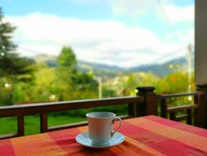 Pensão Sheli S Nest   Ella