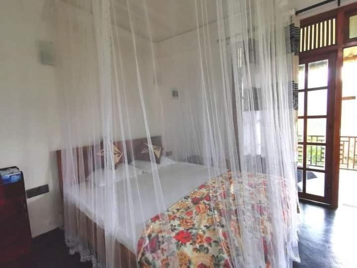 Pensão Sheli S Nest   Ella